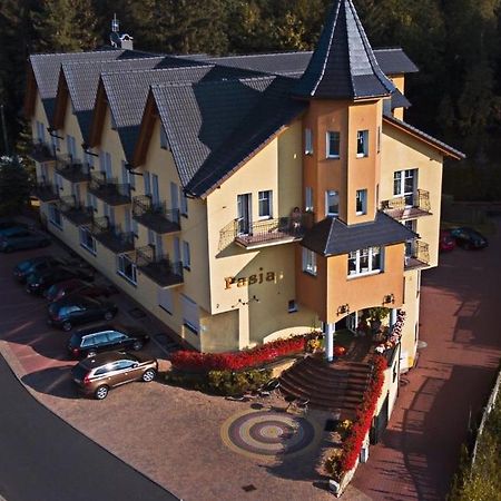 Pasja Bed & Breakfast Swieradow-Zdroj Luaran gambar