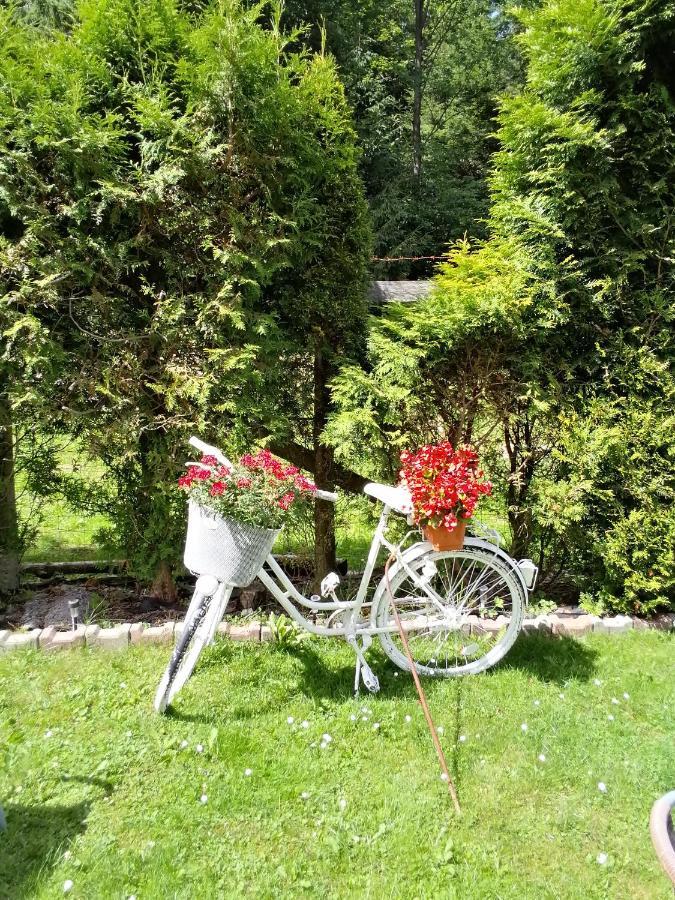 Pasja Bed & Breakfast Swieradow-Zdroj Luaran gambar