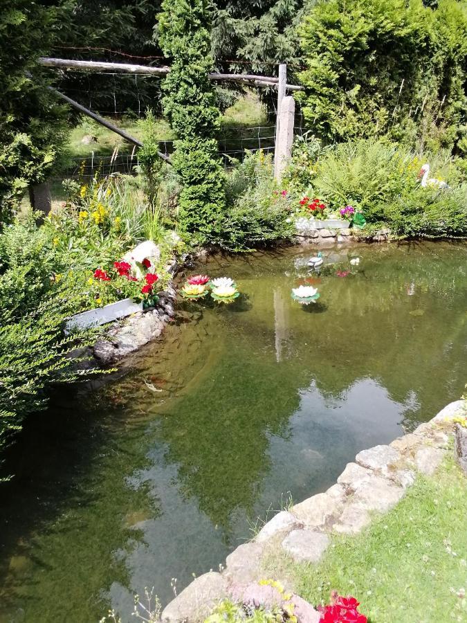 Pasja Bed & Breakfast Swieradow-Zdroj Luaran gambar