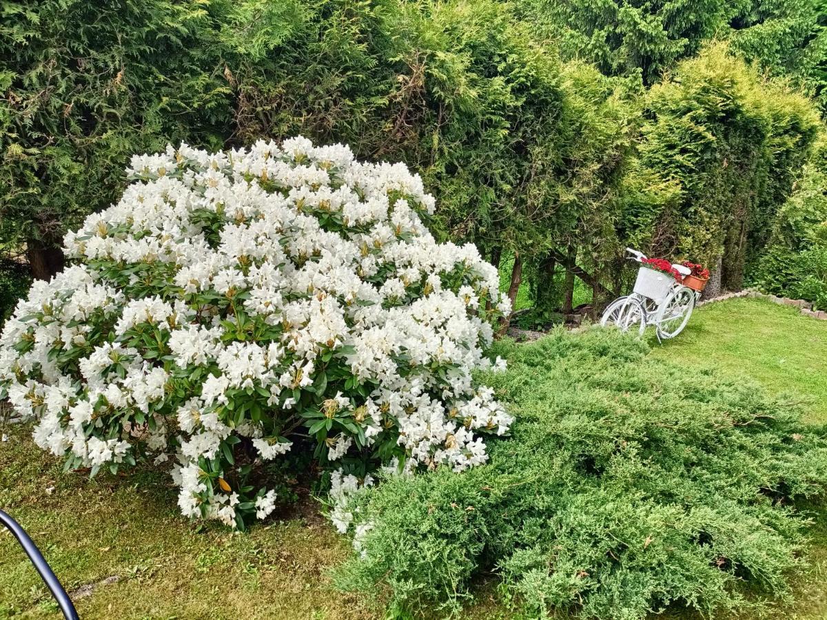Pasja Bed & Breakfast Swieradow-Zdroj Luaran gambar