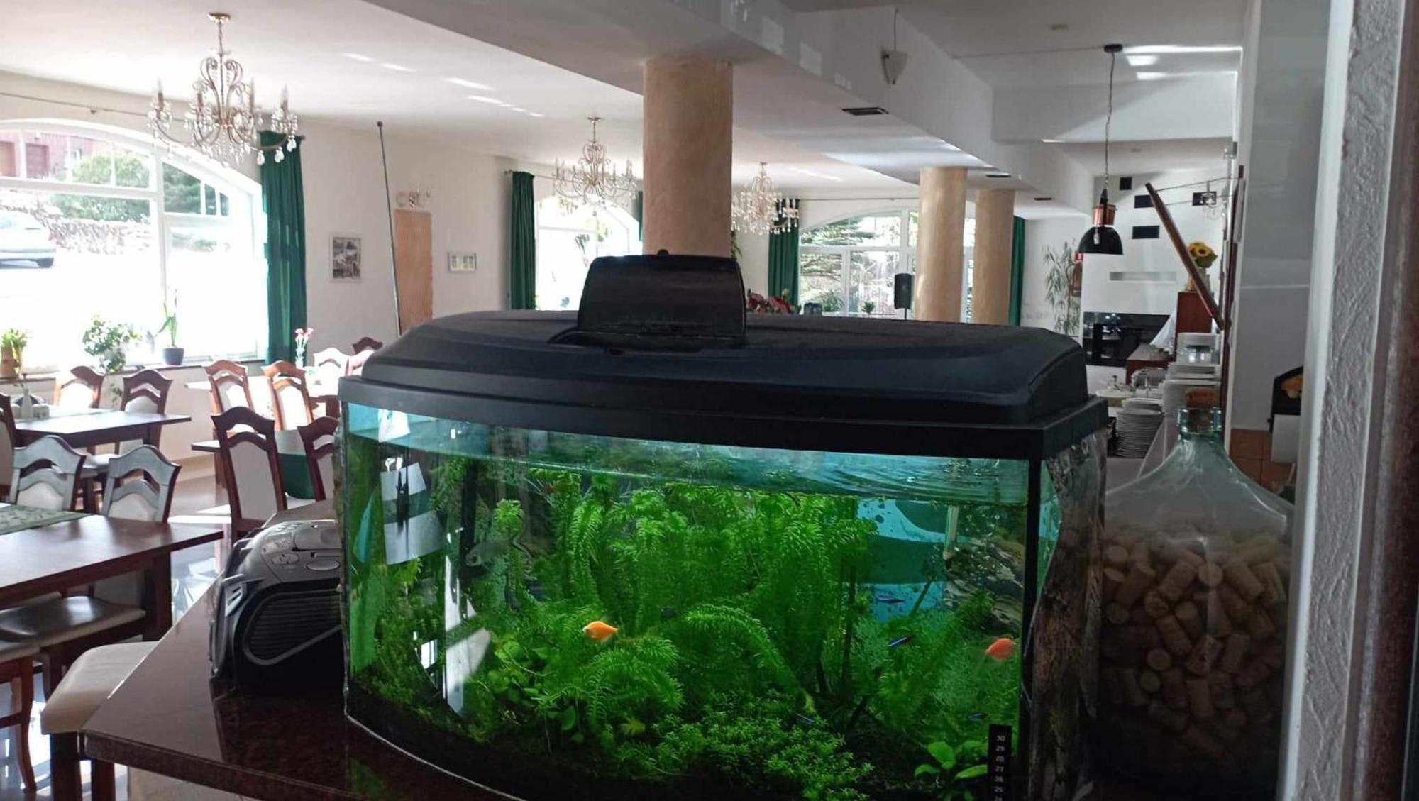 Pasja Bed & Breakfast Swieradow-Zdroj Luaran gambar